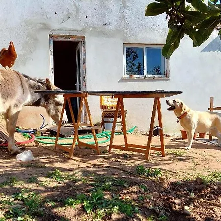 Casa Dos Artistas Semesterbostad Caldas Da Rainha